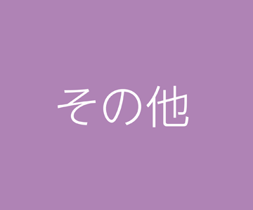 その他